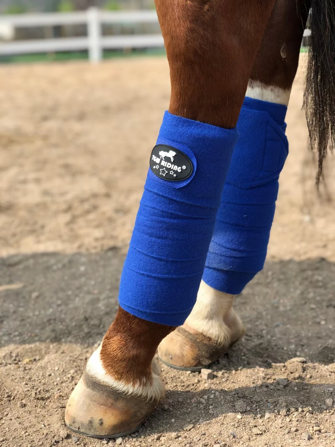 Protège-jambes cheval multicolore en option, équipement équestre, bandages en velours, lot de 4