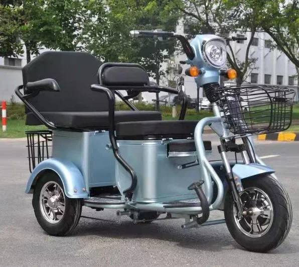 Tricycle électrique 500W, à la mode