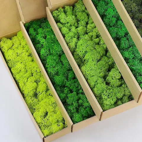 Plantes vertes artificielles, fausse herbe, vie éternelle, mousse, pour la maison, salon, jardin, décoration, Mini paysage, artisanat, bricolage, 200g
