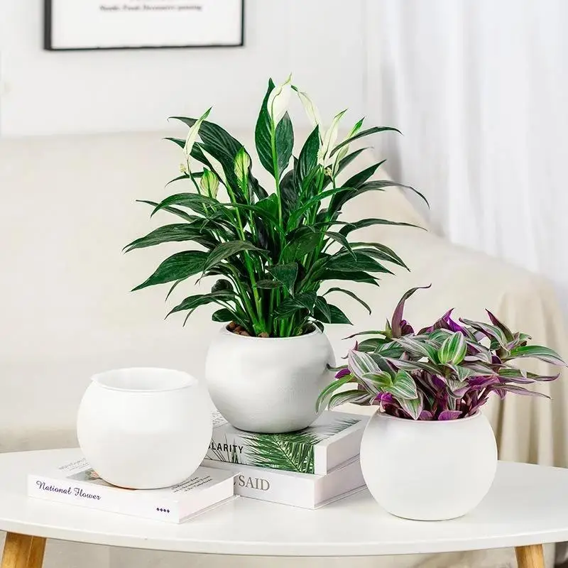 Round Ceramic Plant Pot Matte Textured Surface Two Color Options Perfect For Home Office Indoor Plant Decor