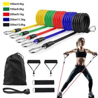 11pcs/Set Pull Rope, Resistance Bands, Portable Fitness Equipment, Ankle Strap, Chest Expander, Elastic Exercise Band