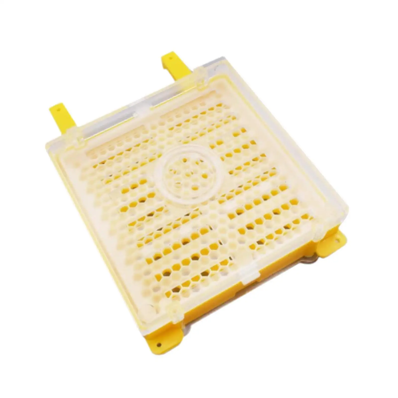 Compact Queen Bee Rearing Kit Plastic Breeding Box Easy Use Beekeeper Grafting Set for Efficient Apiary