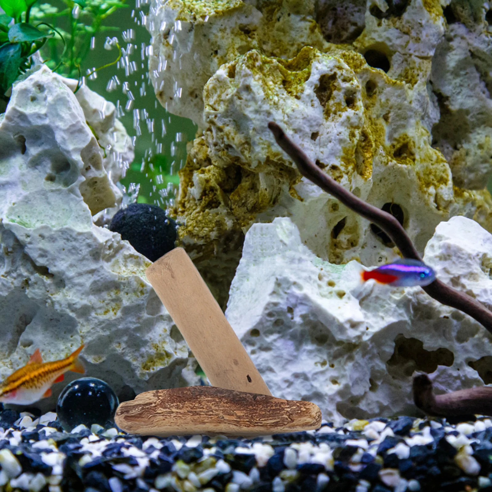 

20Pc Natural Driftwood Pieces for Aquarium Decor Crafting Projects Freshwater Fish Tank Wood Blocks Unique Irregular Shapes