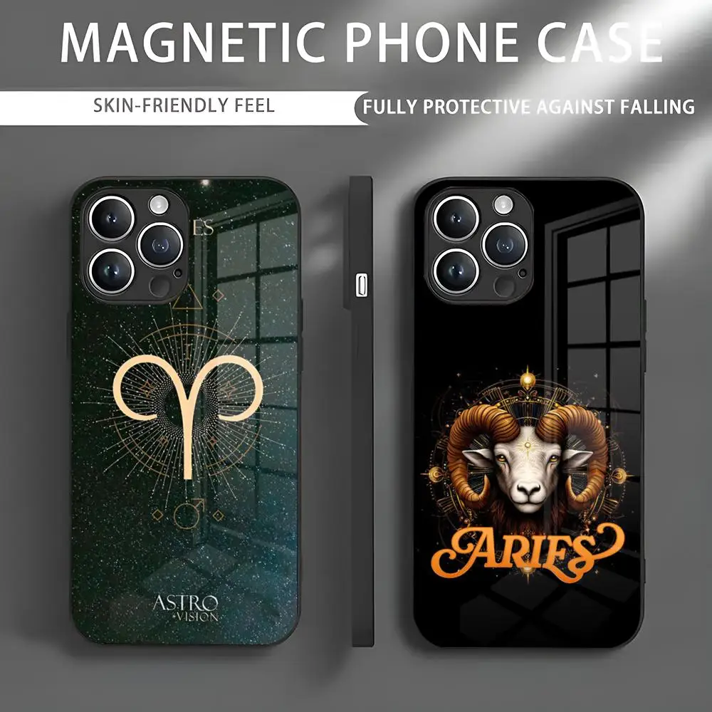 Aries Amulet Phone Case Iphone 16 Pro Max Case 15 14 13 12 11 X XR XS XSMAX 8 Plus Mini Pro Max Glass Magnetic Phone Case