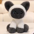 gato siamés gris