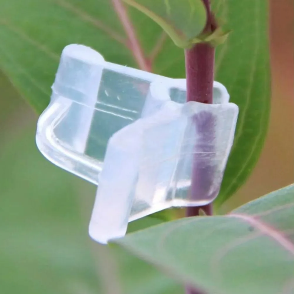 100pcs Fixed Special Grafting Clips Reusable Bundled Grafting Clamps Plastic Seedling Clips Eggplant