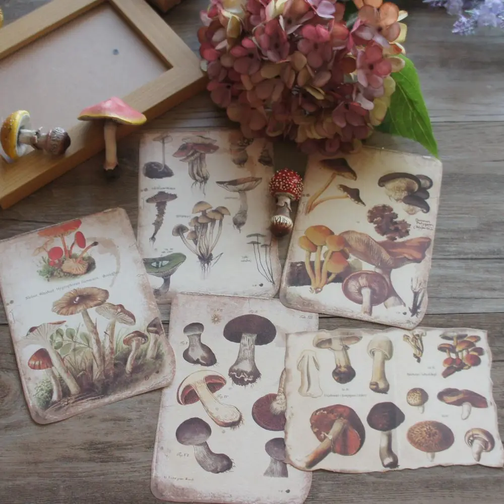 50pcs Natural Fossil Plants Insects Mushrooms Note Style Creative Craft Paper Background Scrapbooking DIY Use