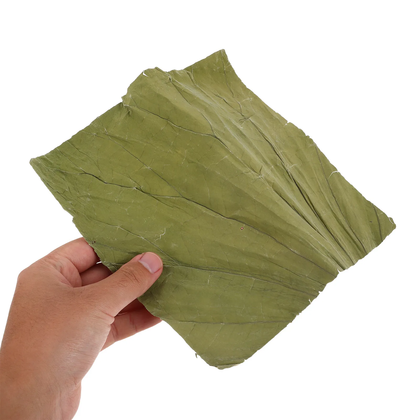 

100Pcs 20Cm Square Dried Lotus Leaf Sheets Natural Sushi Serving Liner Party Plate Liner Food Presentation Leaves Asian Cooking