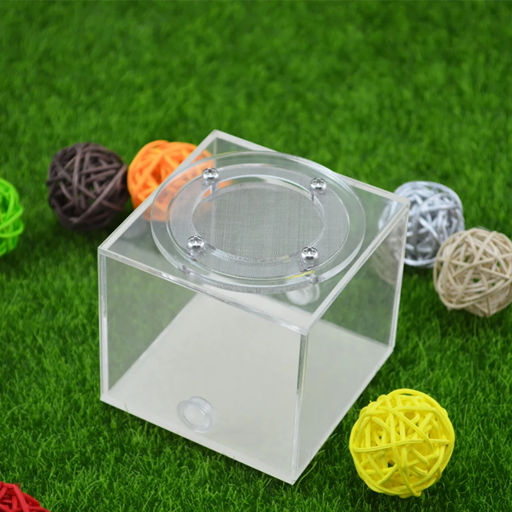 Suitable for 15mm Test Tube Ant Nest Activity Area Crawling Pet Secret Room Ant Workshop Ant Feeding Box