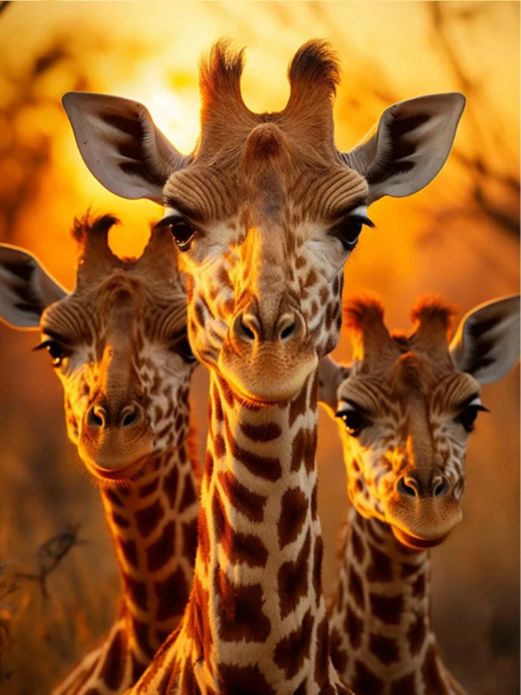 5D DIY diamantschilderij dier volledige vierkante/ronde diamant borduurwerk giraffe woondecoratie cadeau borduurpakketten kunst aan de muur
