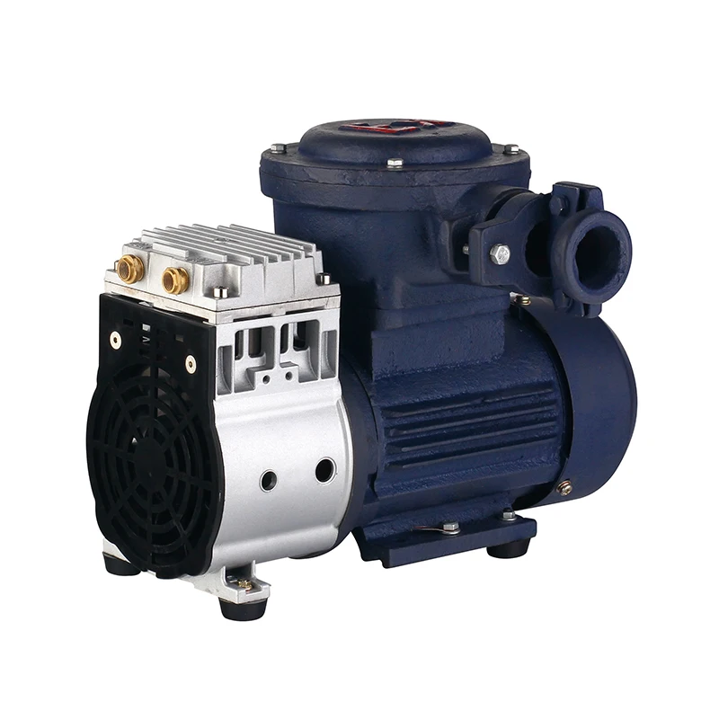 Joinlink General MerchandiseOil-Free Piston Explosion Proof  Vacuum Pump for Coal Mine , and Other Chemical