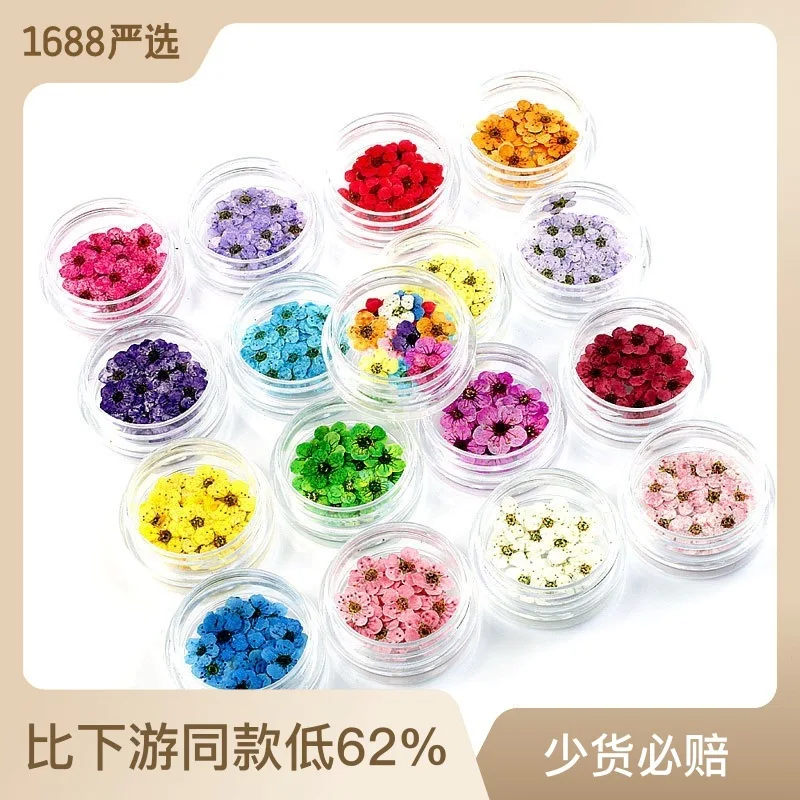 Whole Box of Small Plum Blossoms, Narcissus, Dried Flower Embossed Drip Glue Phone Case DIY Material Nail Jewelry