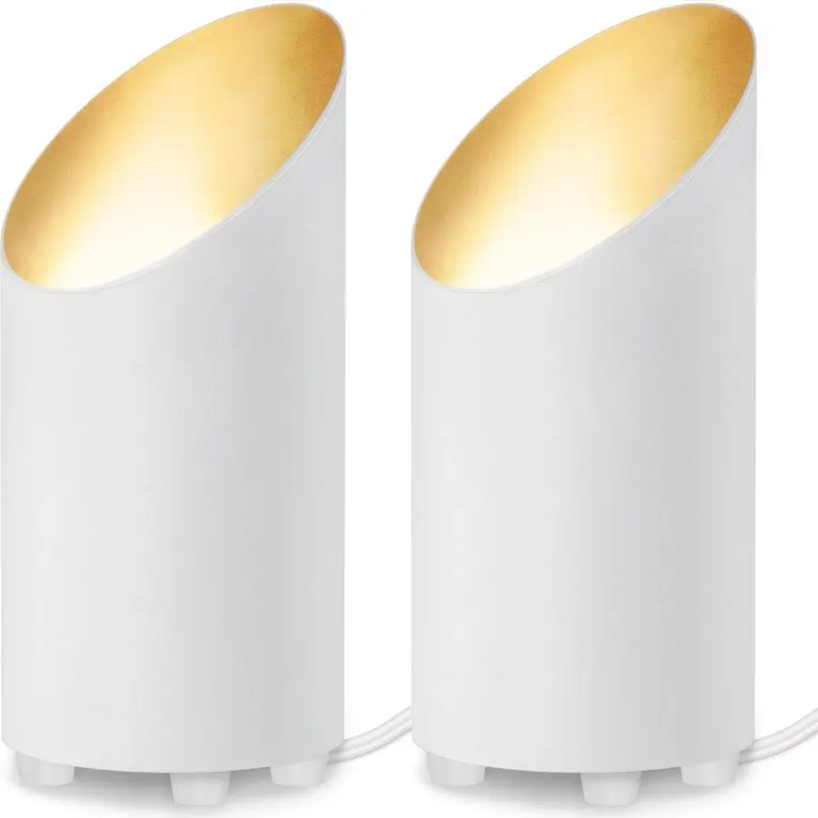 

2 Pack Uplighting Indoor Floor Can Light, 5W Up Lights with 2700K LED GU10 Bulbs, Uplights Floor Spot Lights Indoor for Home Ac