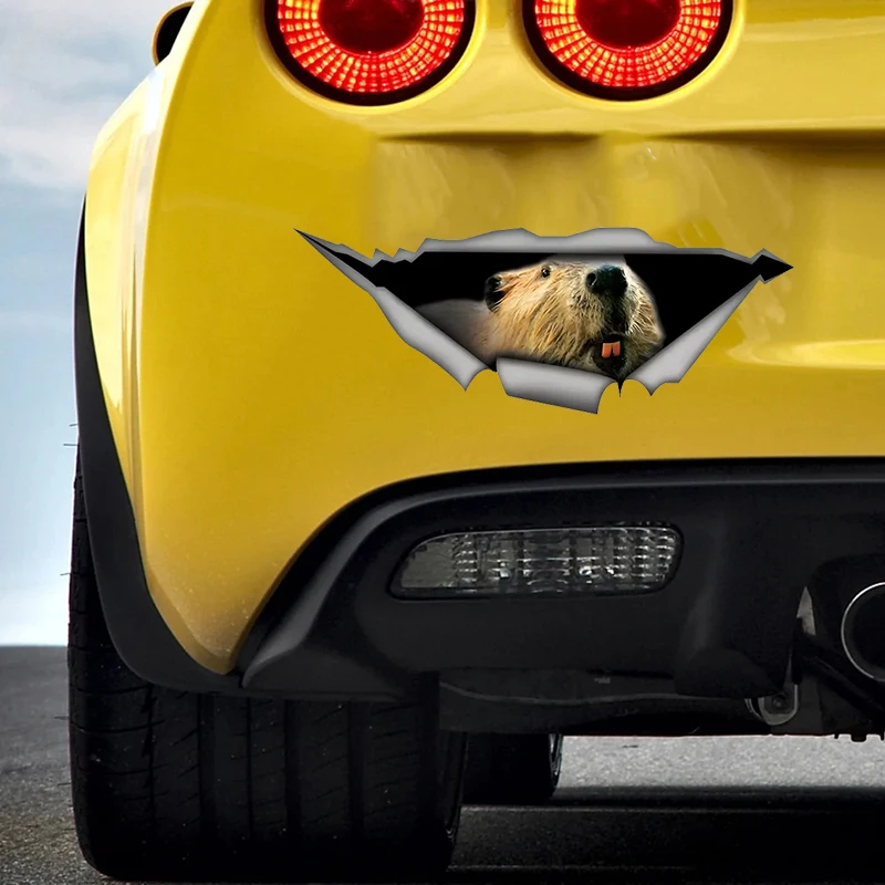 

Автомобильные наклейки Beaver, забавные водонепроницаемые виниловые наклейки, декоративные аксессуары для мотоциклов, используются для автомобиля, мотоцикла, ноутбука, фургона