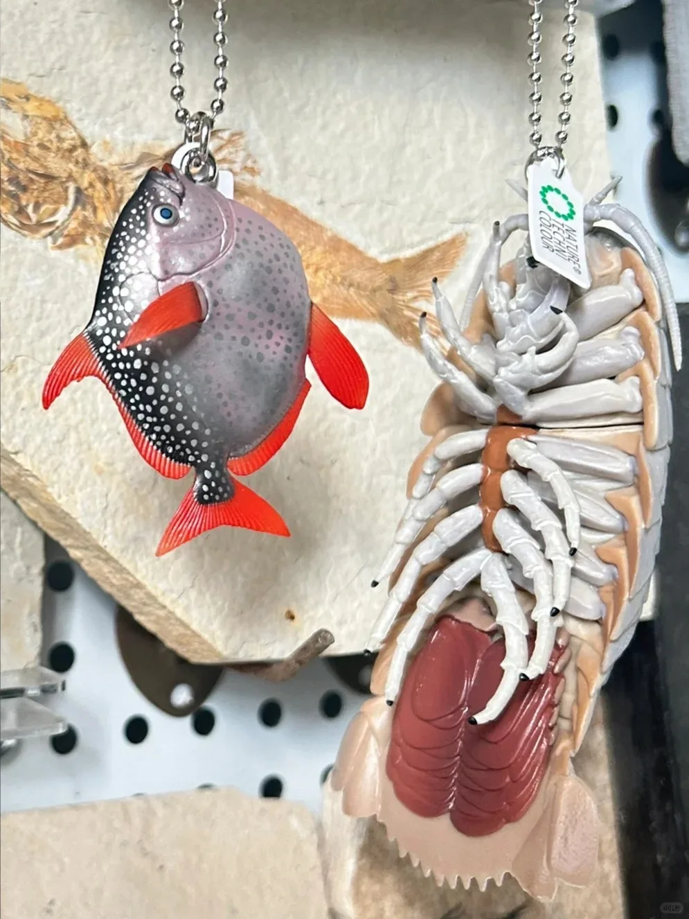 Ikimon Capsule Toys Lindas criaturas del mar profundo Imán y cadena de bolas 2 Figuras de isópodo gigante de coelacanto de calamar colosal