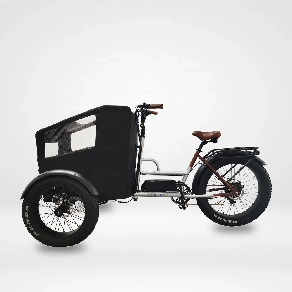 48V 500w Three Wheel Bicycle Cargo Tricycle Front Loading Cargo Electric Cargo Bike 3 Wheel Bicycle