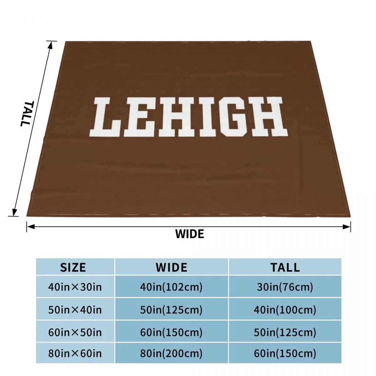 Lehigh Mountain Hawks Wordmark Throw Blanket Camping anime Polar Blankets