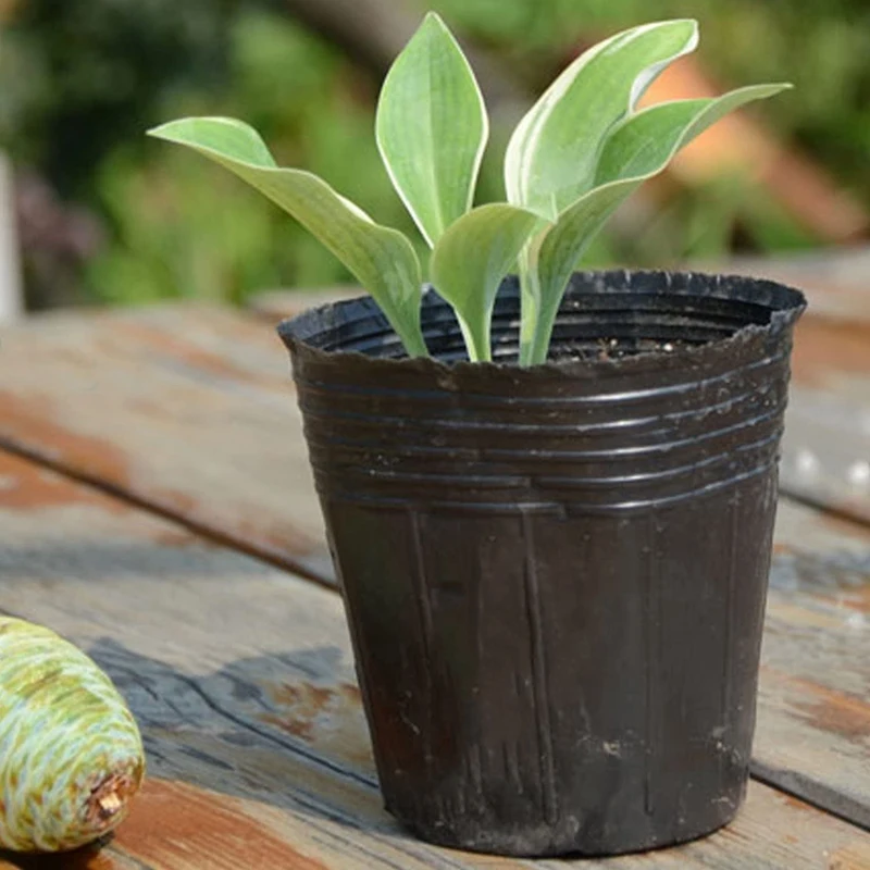 プラスチック製植物用苗床,栽培バッグ,栽培容器,園芸用品,8cm x 8cm,500個