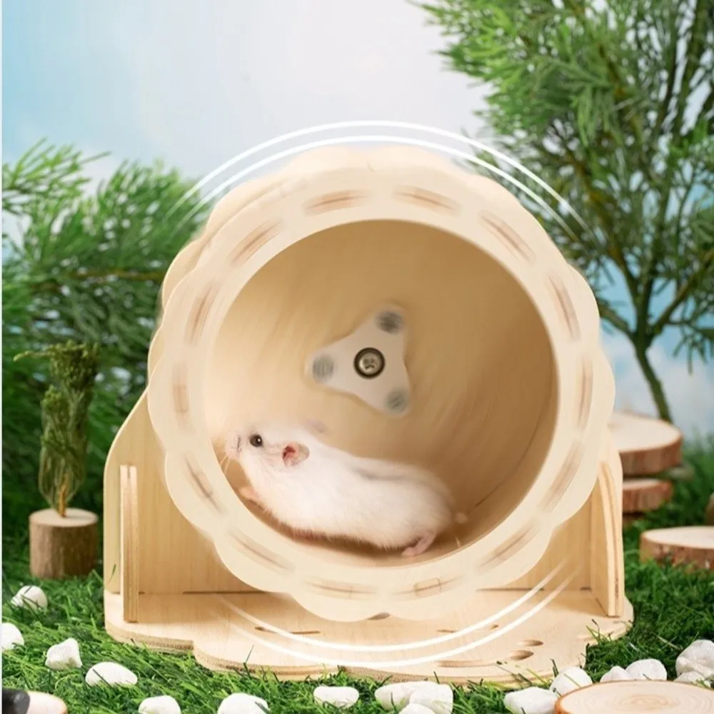 Thumbnail 4 - #31 Hamster Exercise Wheels List of Top Picks