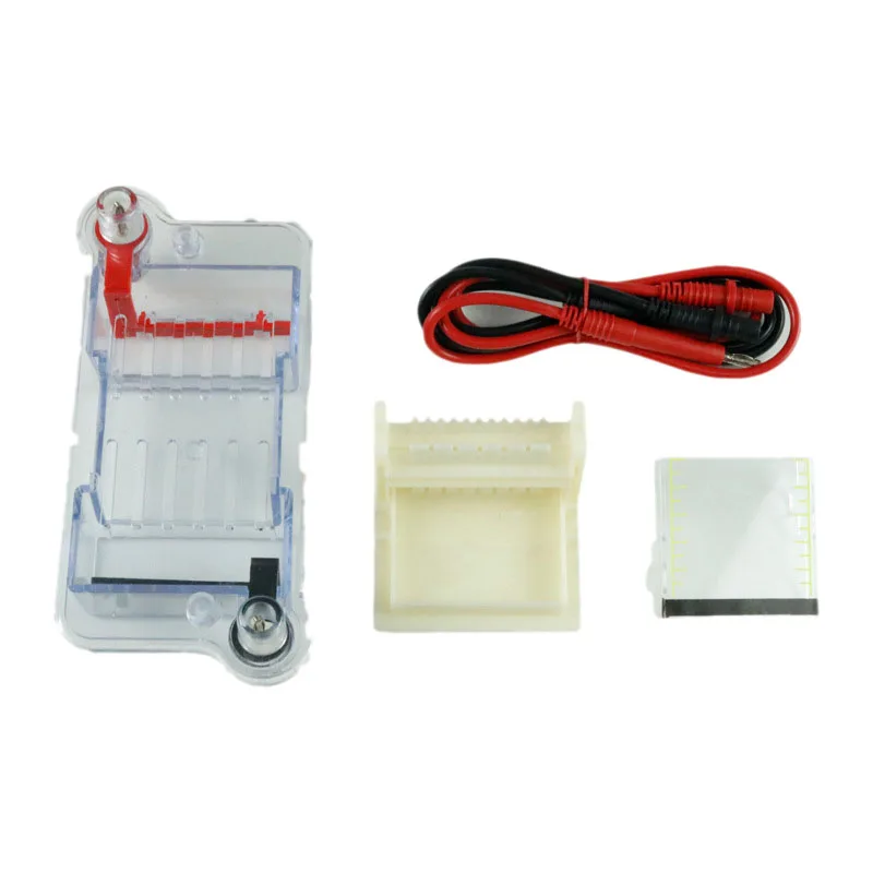 Horizontal Electrophoresis Tank Gel Experiment Biological Teaching Instrument High School