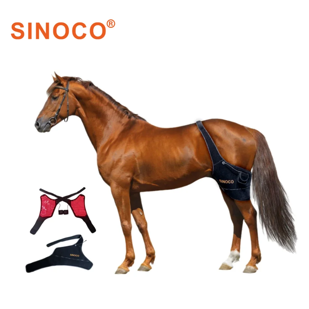 Horse And Dog Hip & Front Leg Therapy Device 660nm & 850nm Red Light Accelerates Wound Healing And Reduces Pain