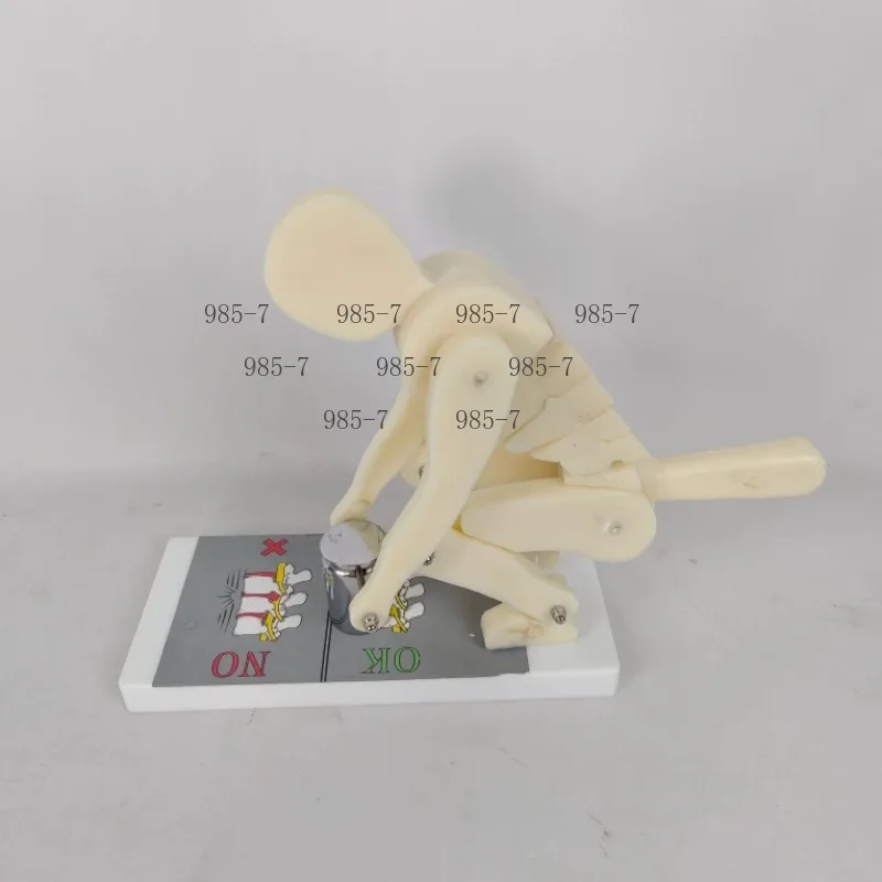 Weightlifting Simulation Model, Bend & Squat Training Tool for Operation Demo, Waist Care & Fitness