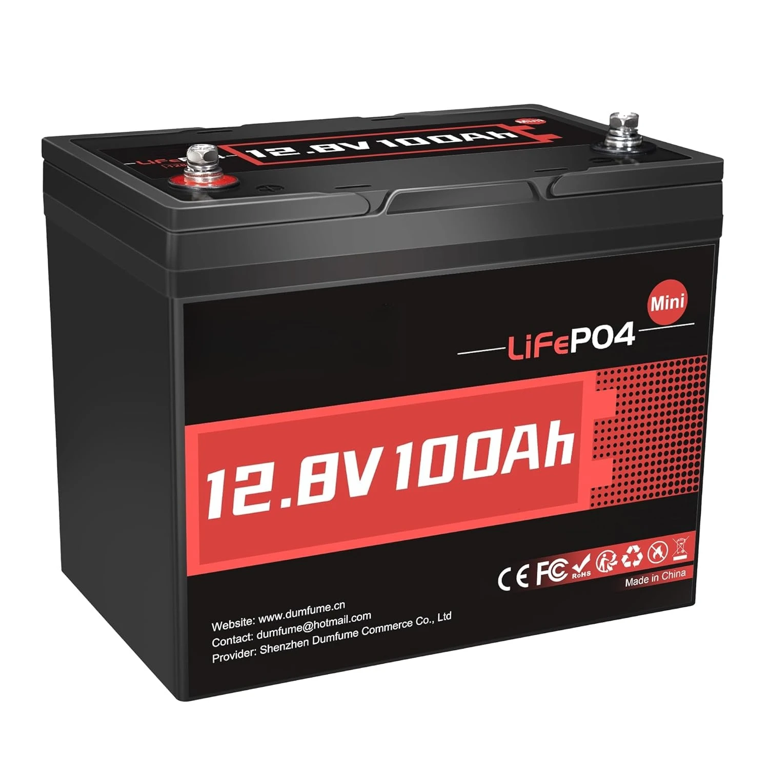 12V 100Ah Mini Life…