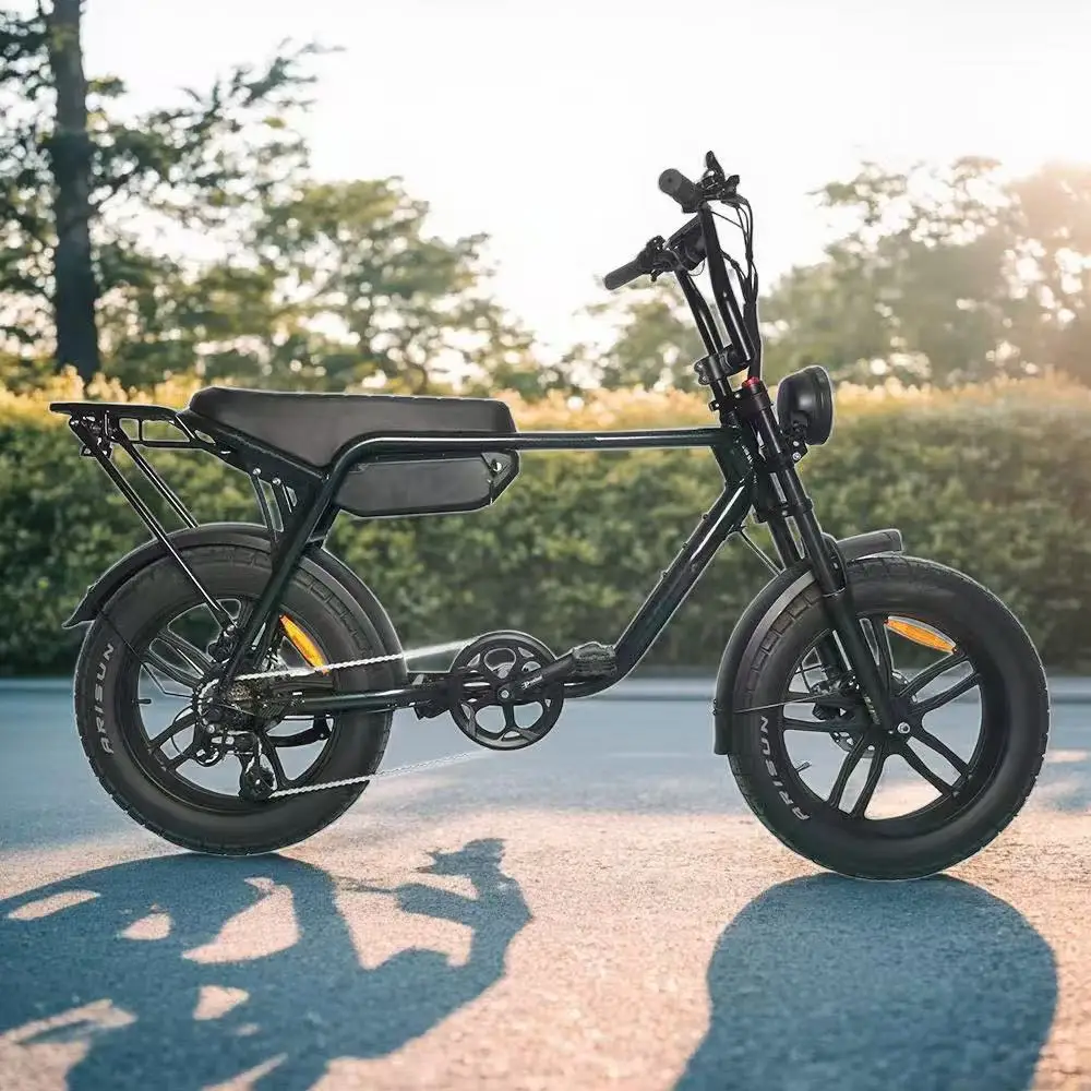 20*4 Inch Fat Tire Electric Bike 36V 750W Mountain E-Bike with Removable Lithium Battery, Hydraulic Disc Brakes for Adults - view 2