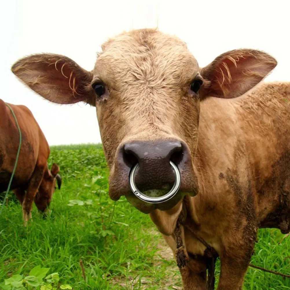 1Pcs Professional Cattle Nose Ring Durable Stainless Steel Livestock Traction Tool Silver Safe Reliable Cattle Traction Ring