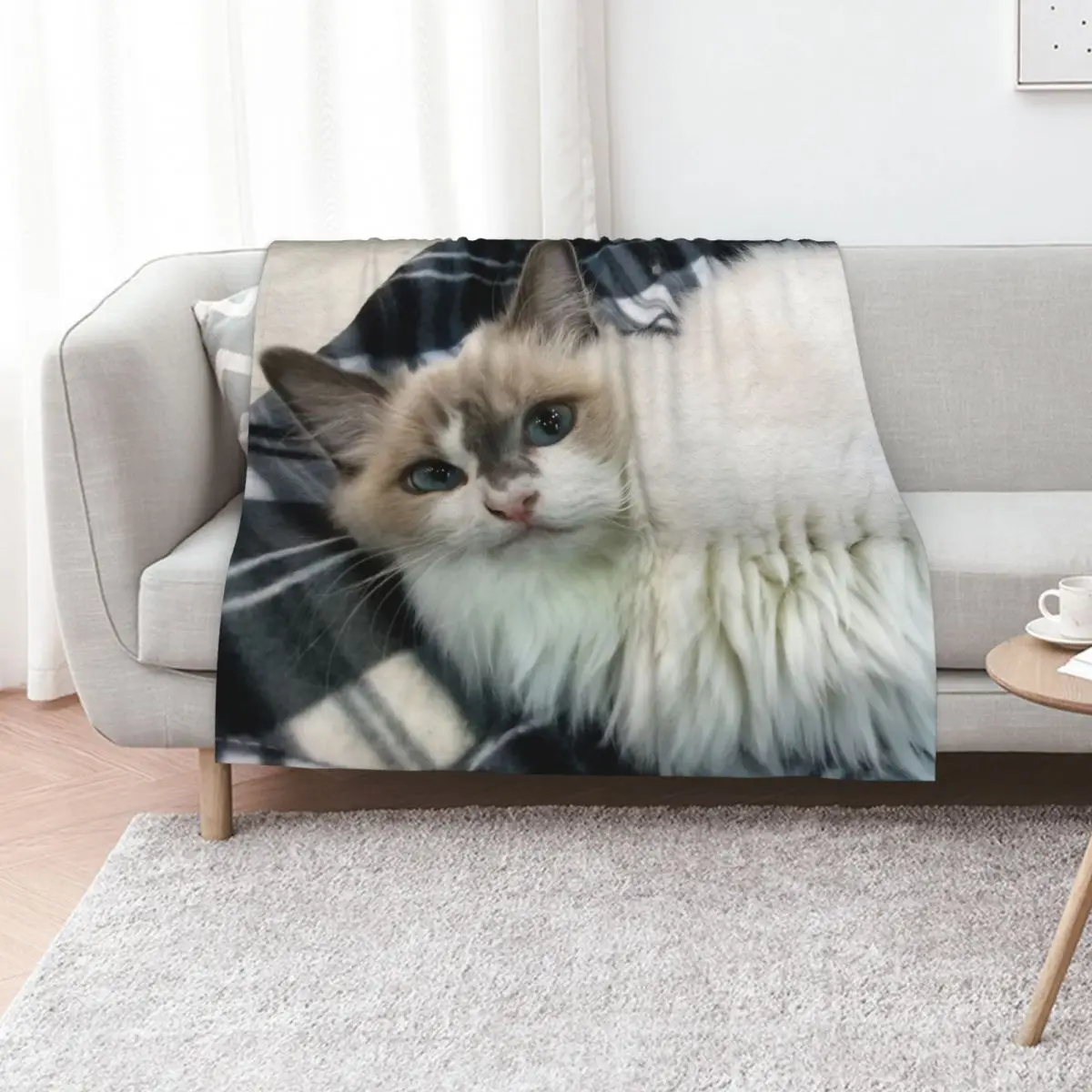 Ragdoll Cat Beauty Throw Blanket For Decorative Sofa Moving Cute Plaid Single Beach Soft Blankets
