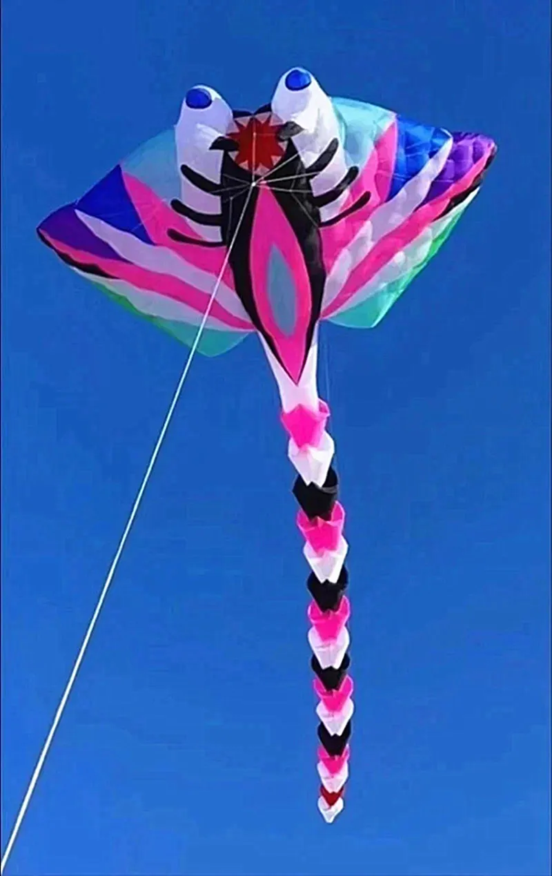 Kite diabo inflável profissional, Kite grande para adultos, Ray Fish Kite, brinquedos dobráveis, frete grátis