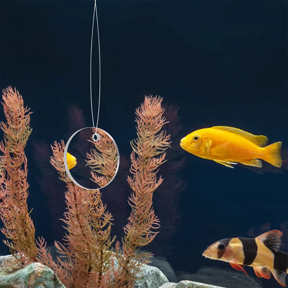 

2 set 2 Sets Aquarium Suction Cup Training Acrylic Mirror Round Decor Betta Tank Accessories Compact Sturdy Mirror Fish Tank