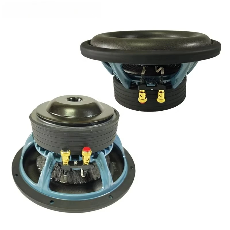 Hot Selling10-Inch Double Magnet Car Subwoofer Speaker with Big Power DC 12V Car Audio Speaker