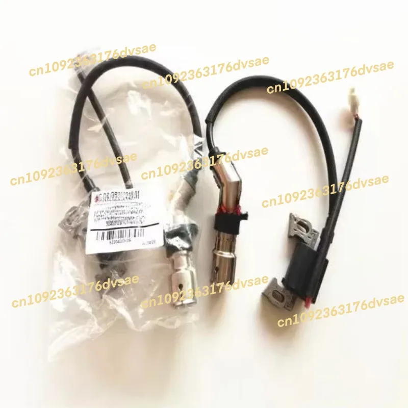 

Катушка зажигания генератора 2025T40, высоковольтный пакет D12000i, катушка зажигания генератора, высоковольтный пакет