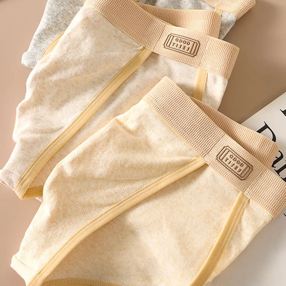 Men Low Waist Bikini Japanese Thongs Breathable Underpants Cotton Men's Underwear Penises Bag Briefs Very Hot Lingerie Fashion
