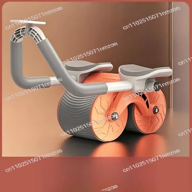 #24 Ab Rollers List of Top Picks