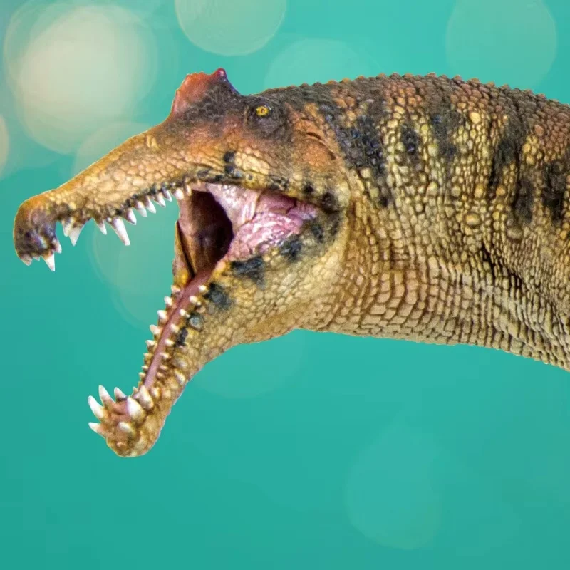 

Model 35 Dinosaur King Growth Companion Spinosaurus Desktop Collection Ornaments Festival Gift Simulation Model Toy