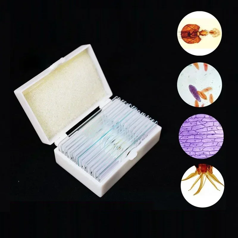 15 PCS Professional Medical Study Prepared Animals and Plants Slices Flora and Fauna Specimen Scetion Microscope Slides Lens