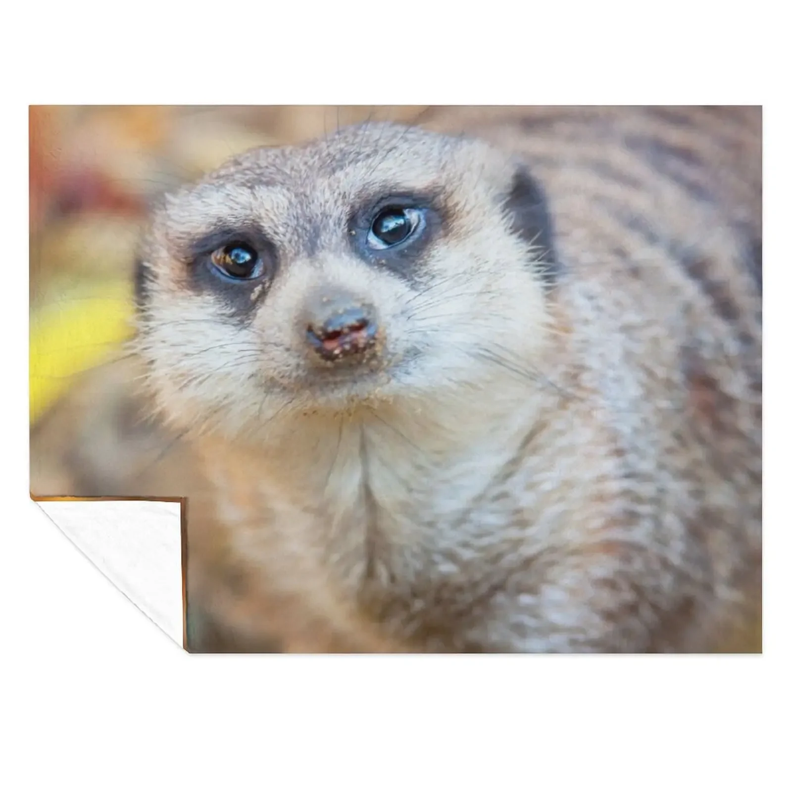 

Meerkat Throw Blanket Sofa Throw Warm Thermals For Travel Furry Blankets