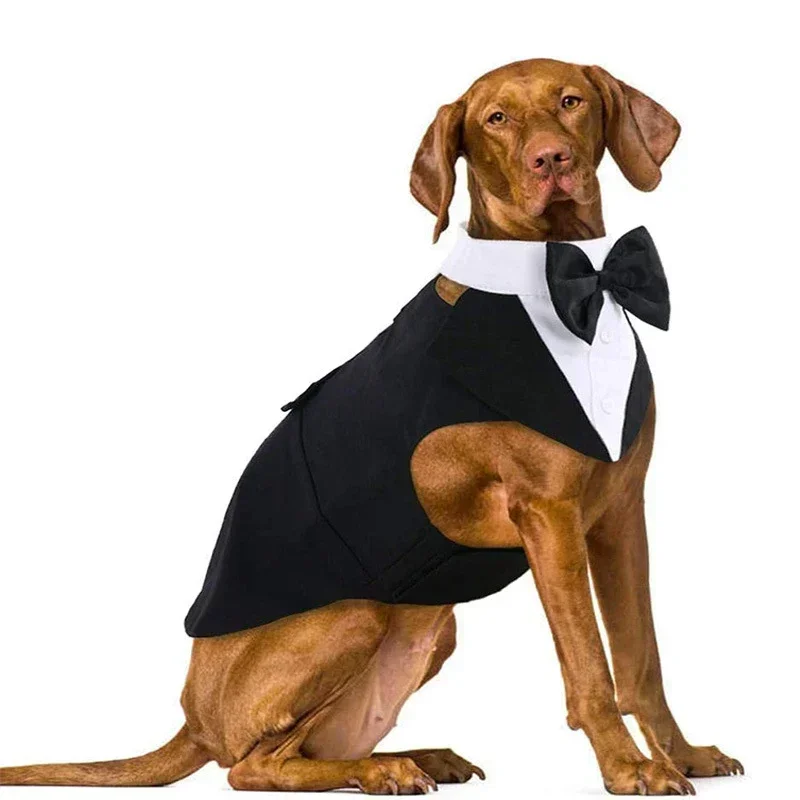 Roupas para cães do menino smoking roupas para cães masculinos bandana cachecol pequeno médio grande cão traje colete casaco triângulo cachecol vestido de casamento