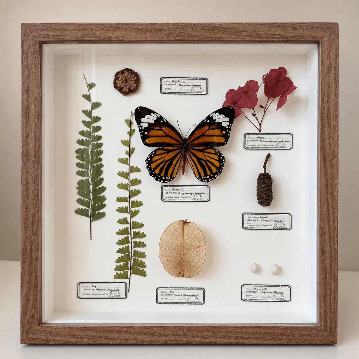 Handmade Light Boho Butterfly Botanical Shadow Box Frame, Natural Dried Flower Wall Decor, Minimalist Rustic Cottagecore Art