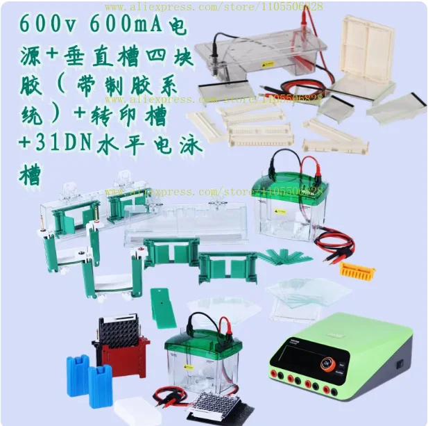 Mini Vertical Electrophoresis Tank, Universal SDS PAGE WB Protein Electrophoresis Cell, Compatible With Bio Rad MiniProteanTetra