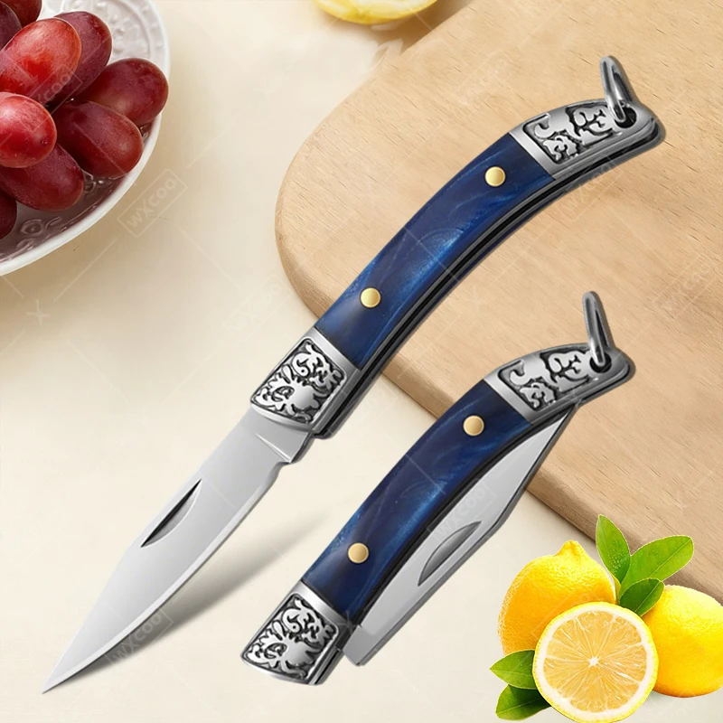 Stainless Steel Mini Pocket Knife Fruit Paring Knife with Non-slip Handle Multifunctional Folding Knife for Household Cooking