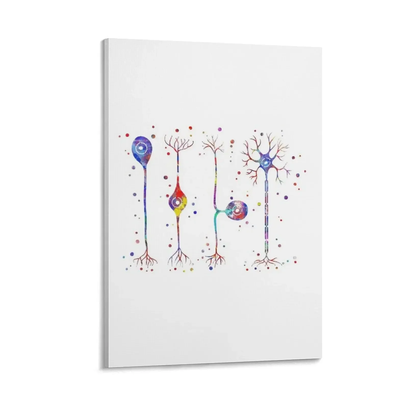 

Four types of neurons Canvas Painting Picture on the wall room decorations for men ornaments for home