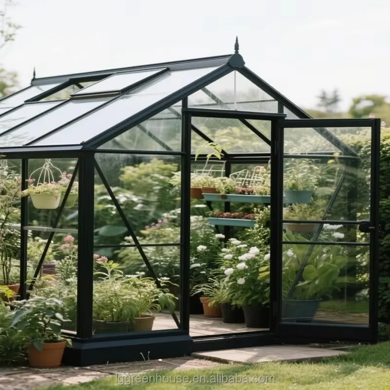 Custom Steel Eco-Friendly Easily Assembled Courtyard Sunroom Garden Portable Walk-in Greenhouse for Villa Agricultural