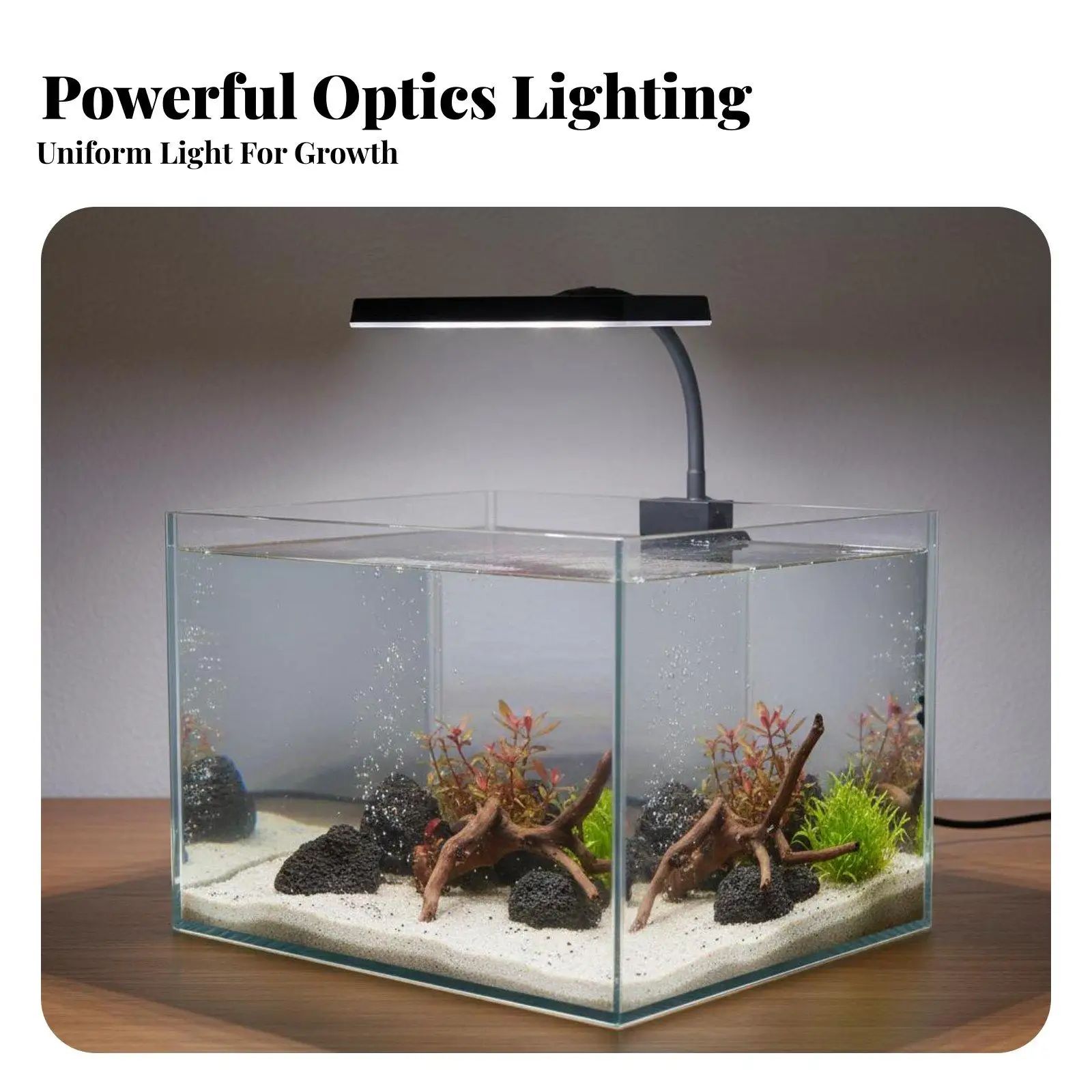 Aquarium Plant Grow Light with 10000K Spectrum for Small Tank Vivid Color and Healthy Growth