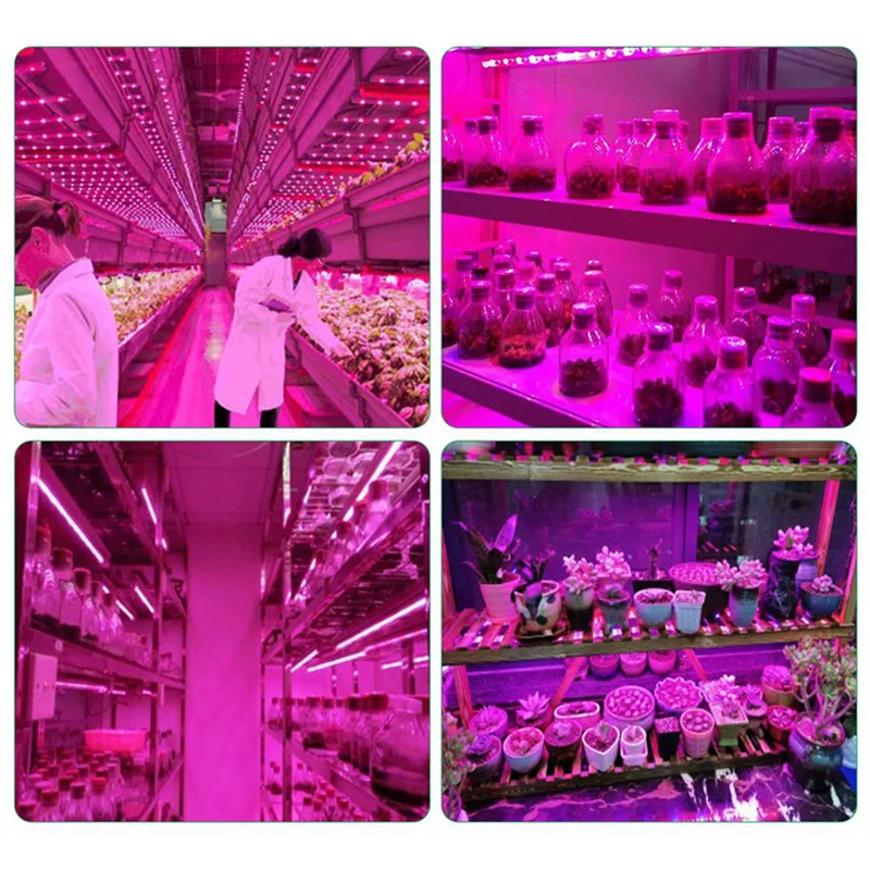 A98E-8X LED تنمو ضوء الطيف الكامل 5 فولت USB تنمو شرائط مصباح 2835 LED مصابيح نباتية للنباتات المتزايدة 100 سنتيمتر