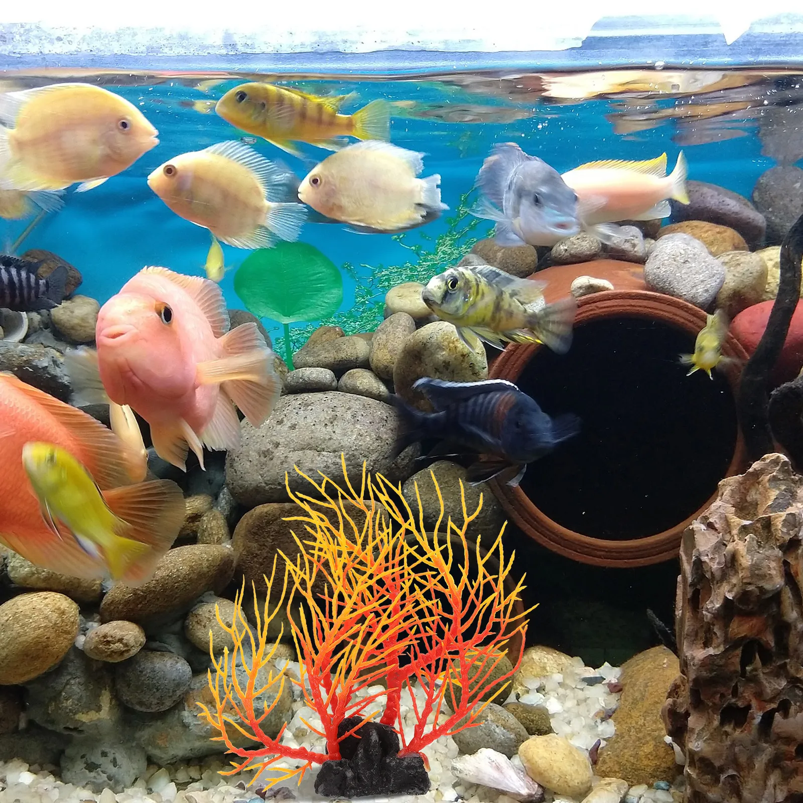 リアルな人工水槽植物装飾、安全な無毒樹脂製水草、魚タンク装飾 - Non Planted Aquarium Fish のレビューと価格
