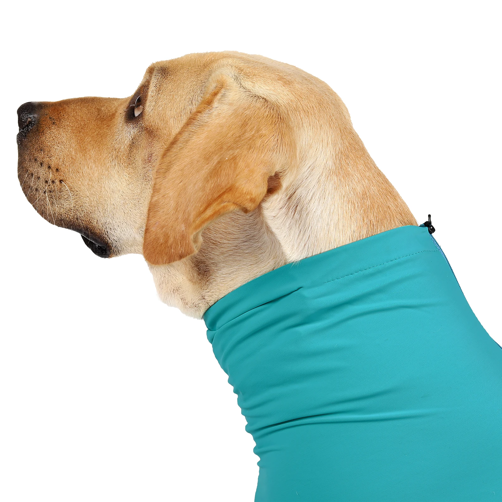 Four-Legged Dog Recovery Suit, Breathable Stretch Pet Surgery Recovery Jumpsuit, Anti-Licking Wound Protective Clothes for Spay