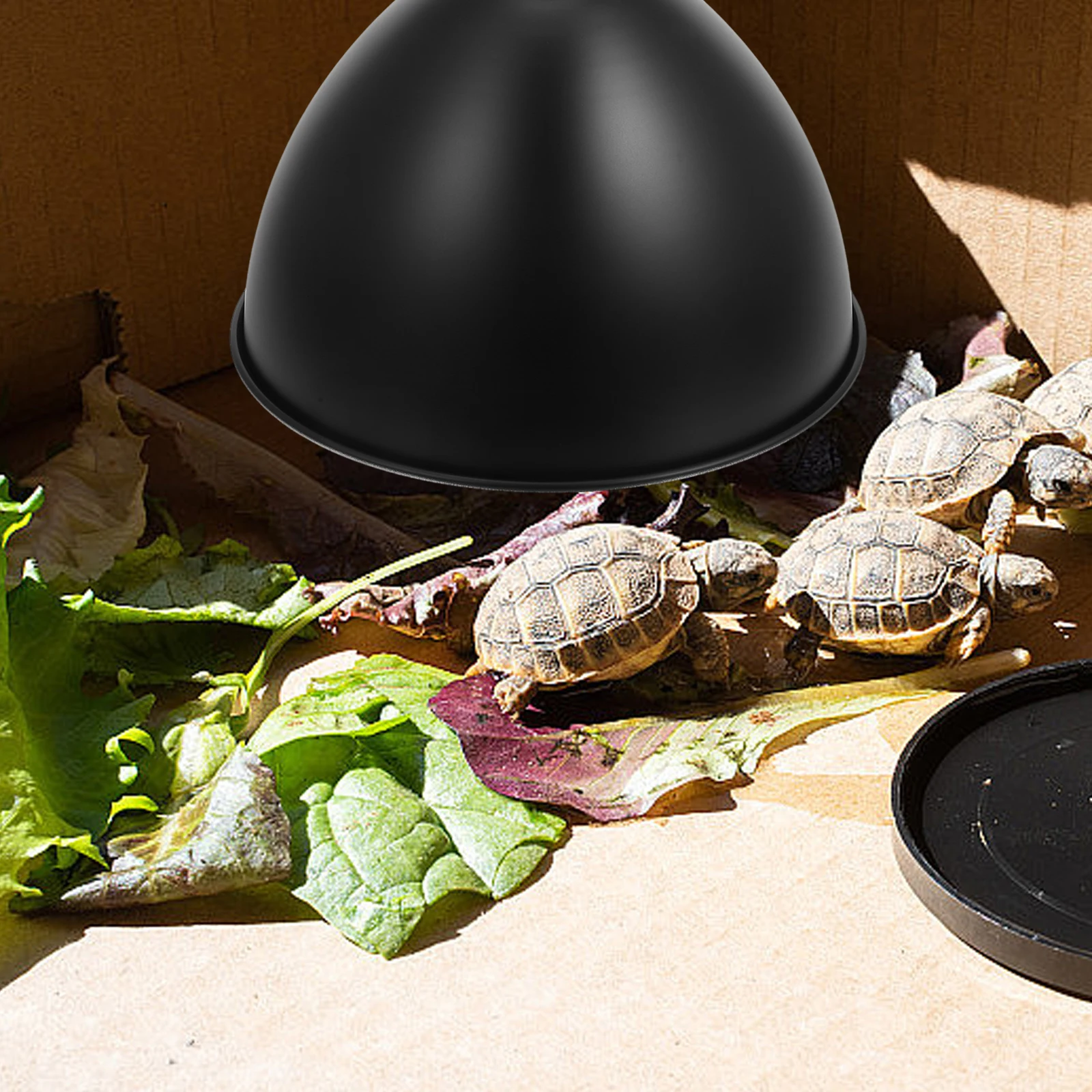 

1pc Heating Lamp Shade Dome Reflector Cover For Reptile Habitat Terrarium Lizard Snake Turtle Cage Iron Heat Lamp Protector